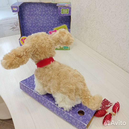 Интерактивная собака