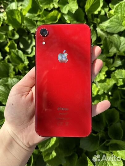 iPhone Xr, 128 ГБ