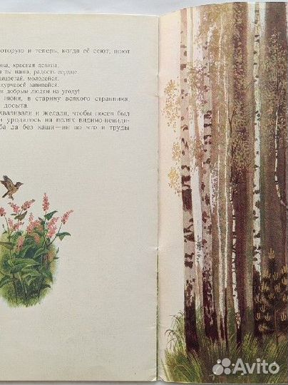 Чарушин. Е. Медвежата, 1987