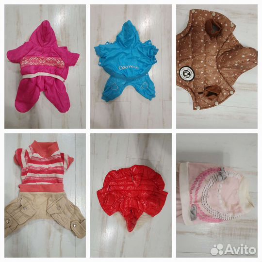 Одежда для маленьких собак пакетом