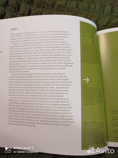 Каталог ln the Mauritshuis Flowers