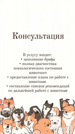 Зоопсихолог для кошки / специалист по поведению