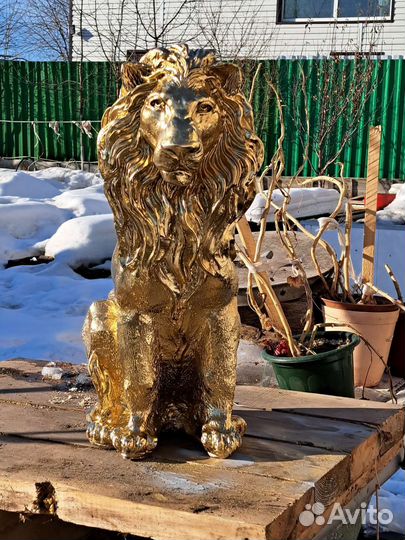 Золотой лев