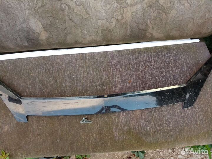 Мухобойка на приору