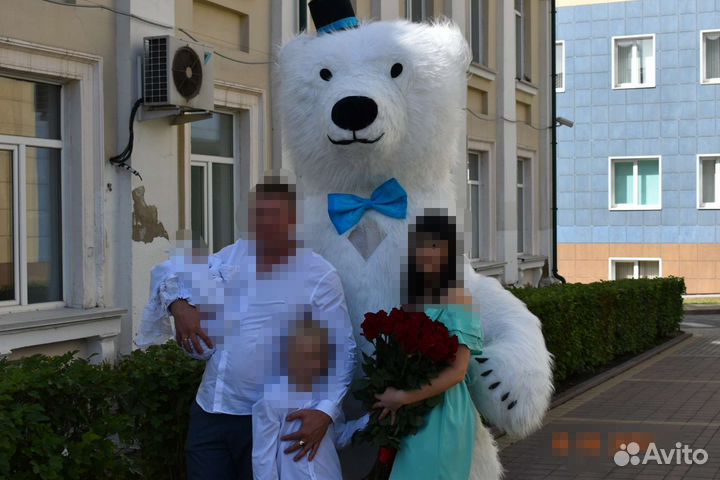 Аниматор, Ростовой Белый мишка поздравление