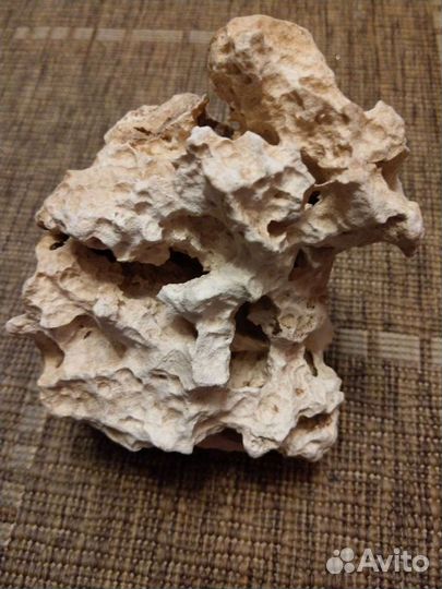 Камень в аквариуи