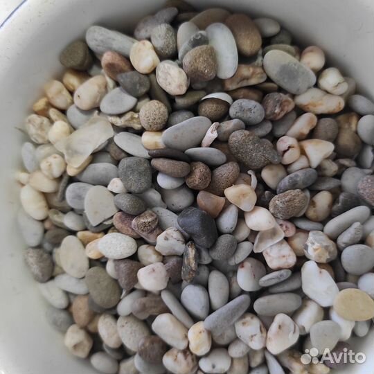 Камушки и ракушки для аквариума