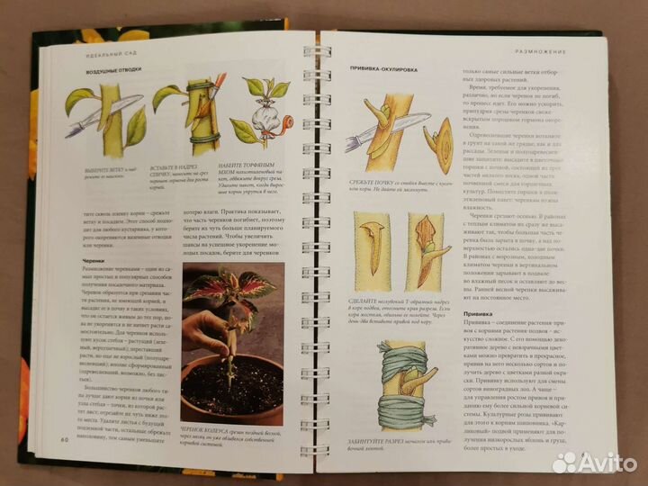 Книга о садовых растениях и планировке сада