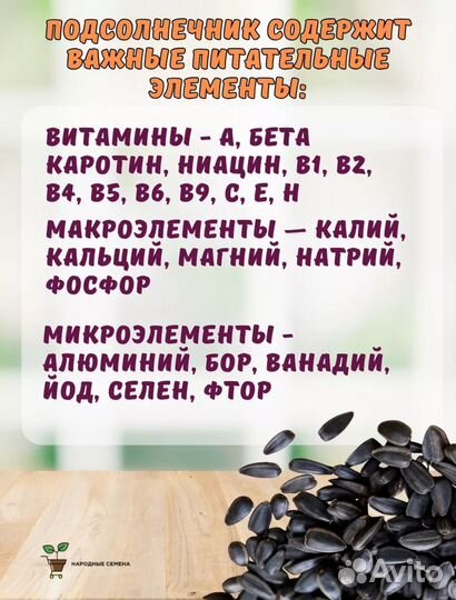 Микрозелень