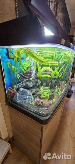 Аквариум
