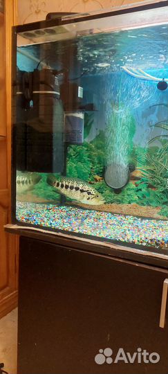 Аквариум с тумбой