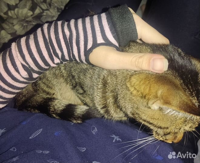 Рукава в стиле эмо)