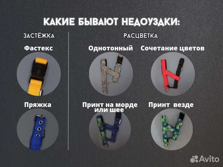 Халти недоуздки для собак