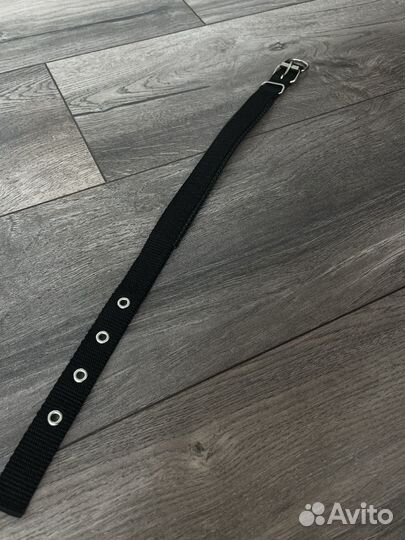 Ошейник, намордник для собак