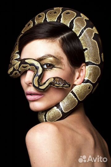 Фотосессия со змеёй