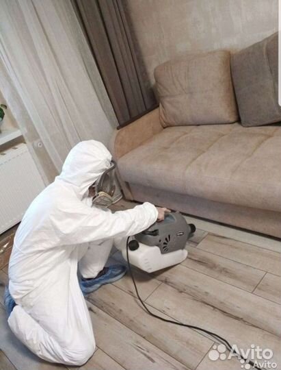 Уничтожение клопов, тараканов. Обработка участков