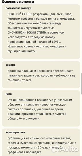 Варежки горнолыжные Level World Cup CF