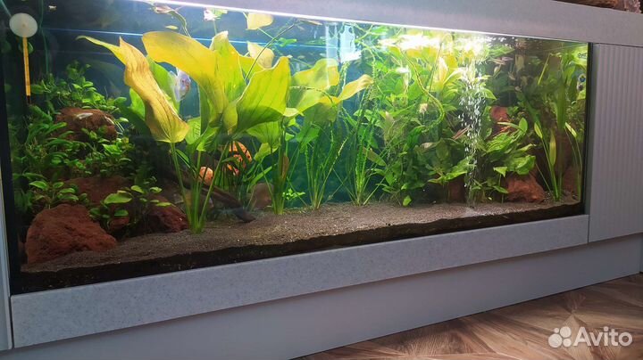 Обслуживание, установка, перевозка аквариума