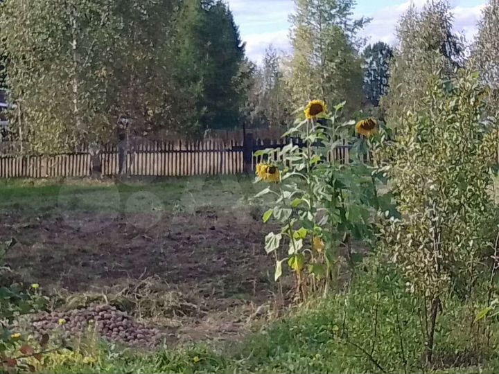 Дом 64 м² на участке 12 сот.