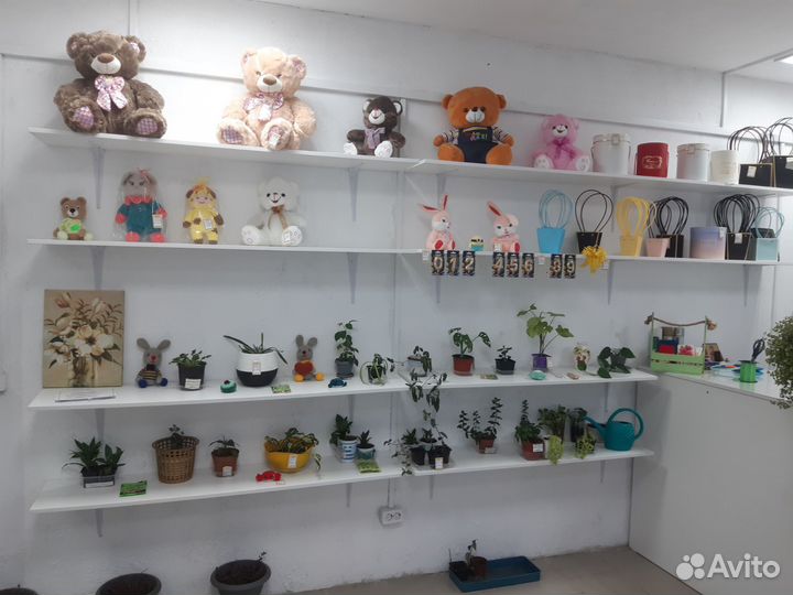 Книжные полки