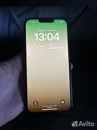 iPhone 13 pro max