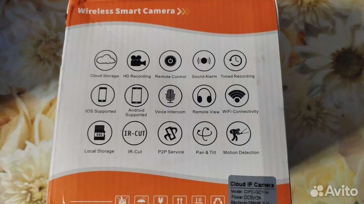 IP camera