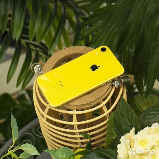 iPhone Xr, 256 ГБ