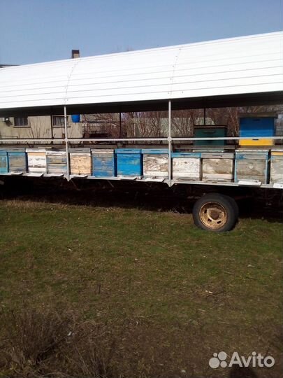 Продается пчело - пасека