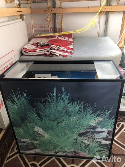 Аквариум