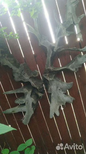 Коряги декоративные