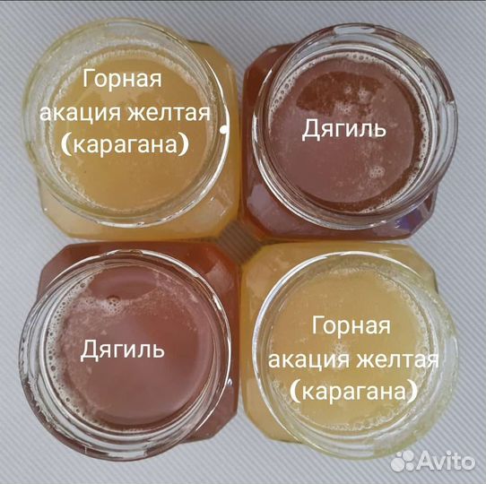 Мед алтайский