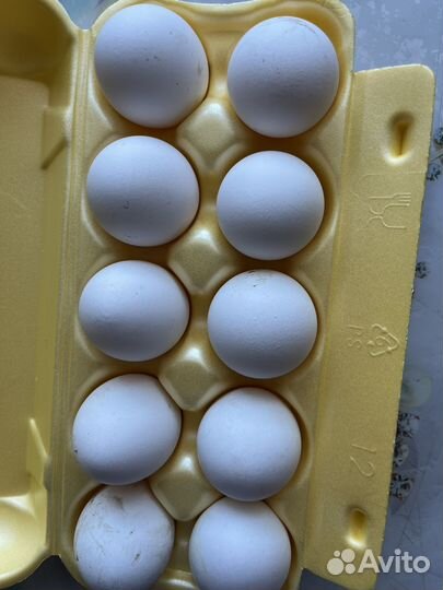 Продукты с личного лпх