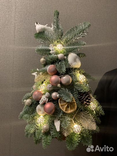 Елка из нобилиса