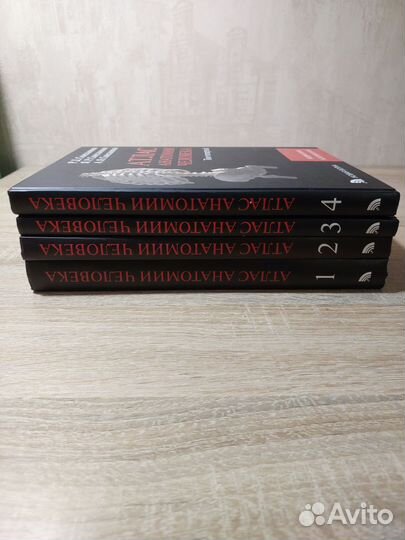 Атлас анатомии человека синельников