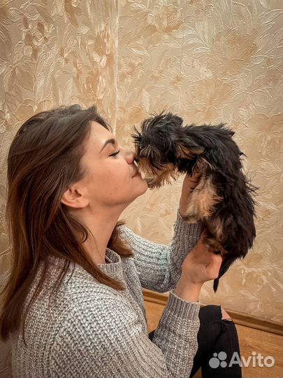 Передержка собак в домашних условиях