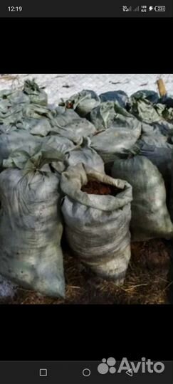 Конский навоз