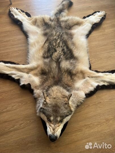 Шкура волка