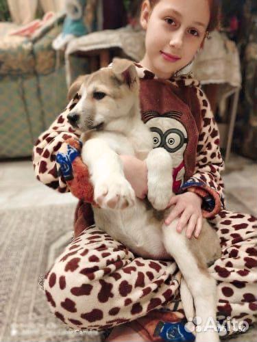 Кому кусочек счастья