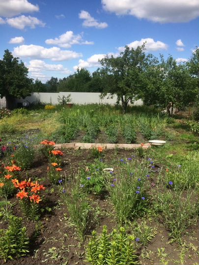 Дача 40 м² на участке 6 сот.