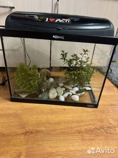 Аквариум