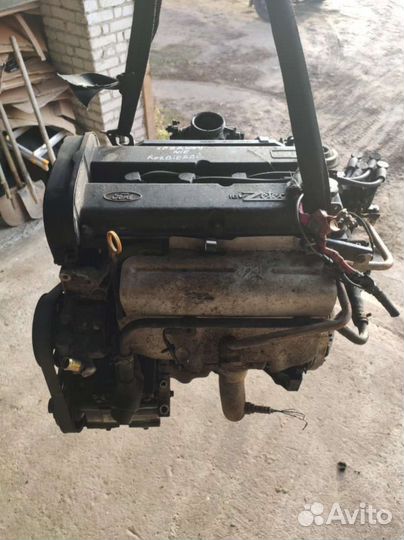 Двигатель Ford Focus 1 (1998 - 2005) 2.0 edba