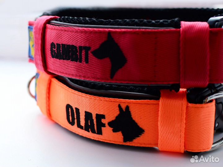 Шью на заказ Ошейники, Поводки, Шлейки