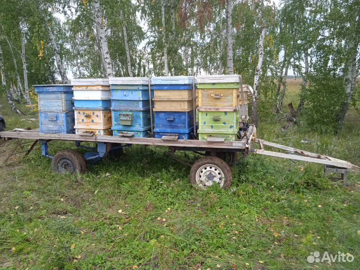 Прицеп платформа для перевозки и кочёвки пчел