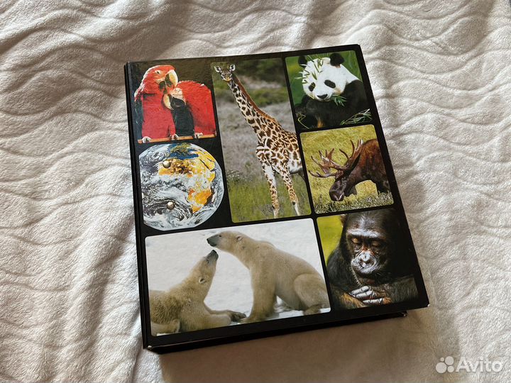 В мире дикой природы, книга детская