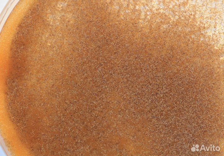 Артемия рачок замороженная корм для рыб