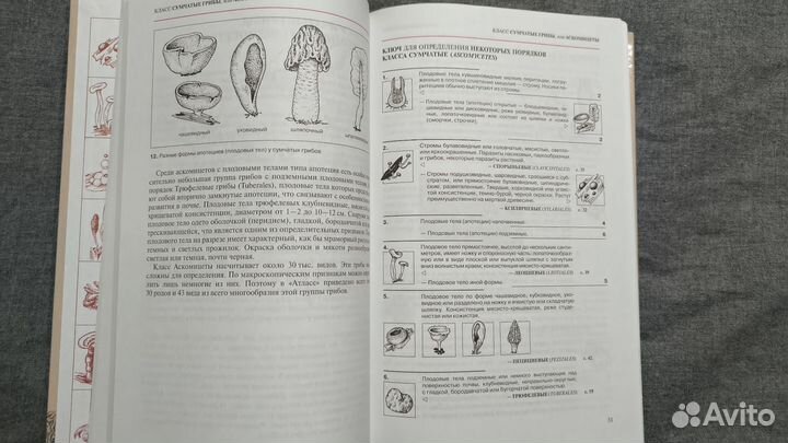 Популярный атлас-определитель Грибы