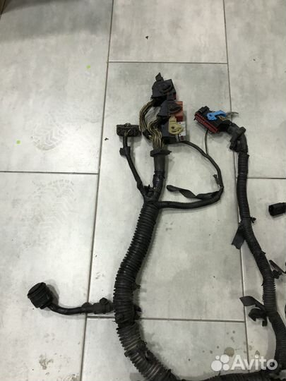 Проводка блока эбу Ford Focus 3 / Фокус