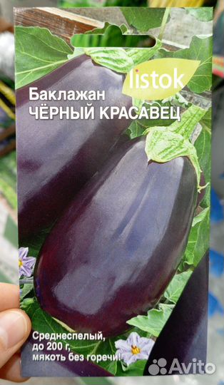 Рассада разных овощей и бахчевых