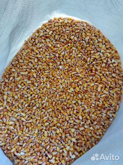 Корма для сельскохозяйственных животных