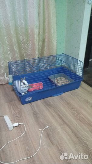 Клетка для декоративного кролика